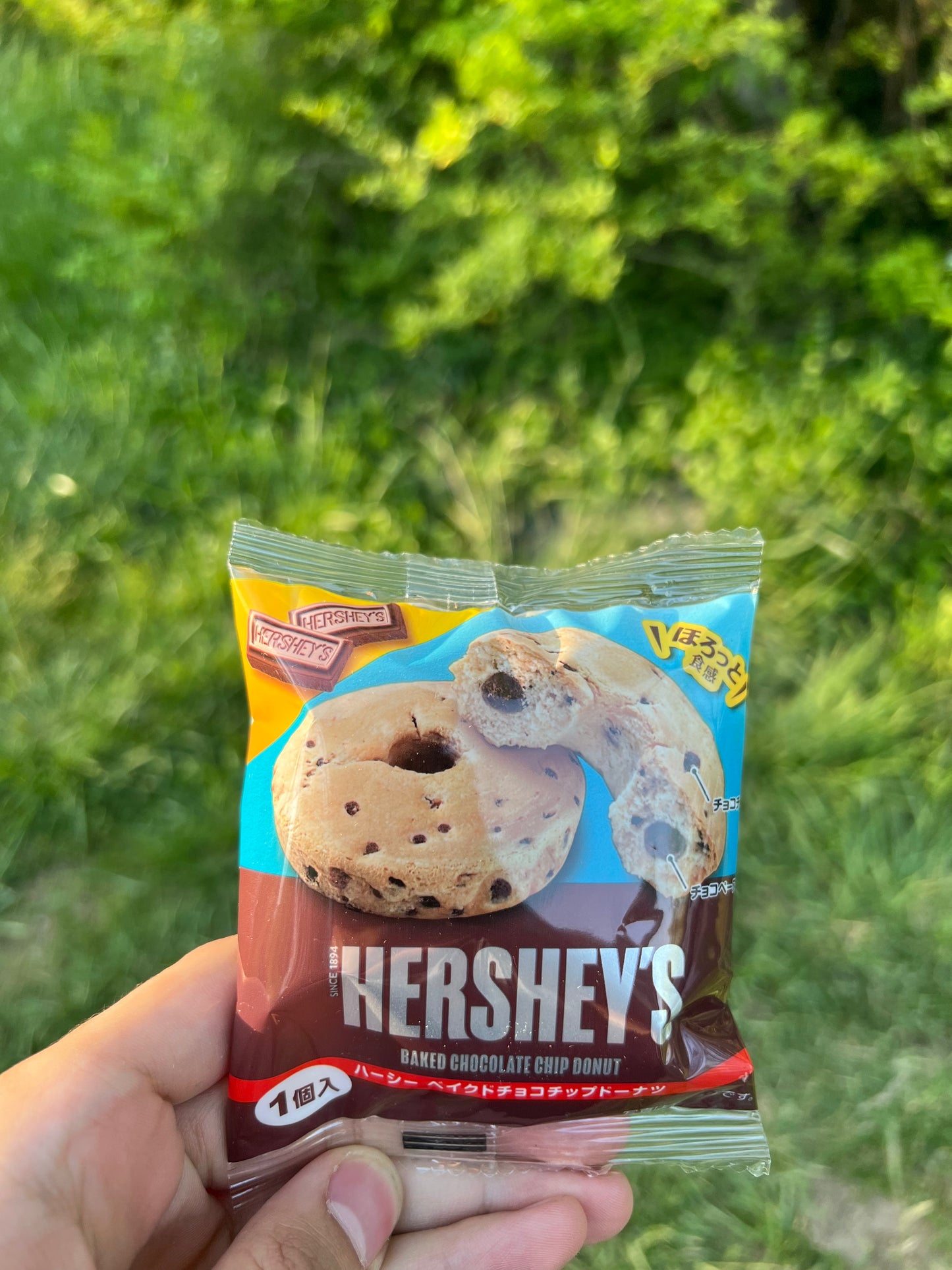 Hershey chocolate chip donut